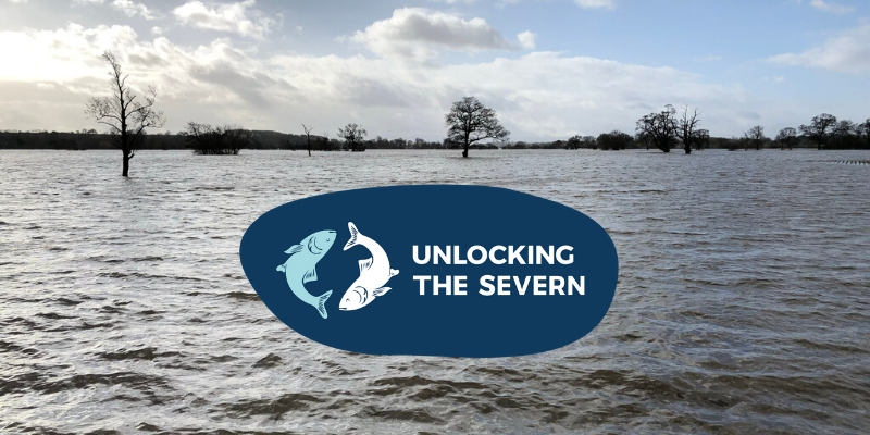 floodplain underwater on the River Severn with Unlocking the Severn logo
