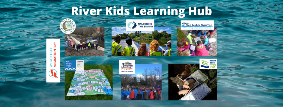 graphic of River Kids Learning Hub