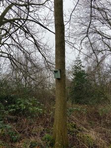 Bird box on a tree in the woodland