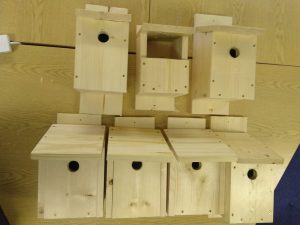 A selection of 7 bird boxes. 