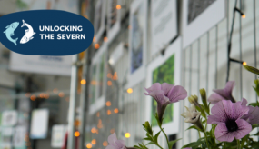 July newsletter header, featuring an in focus photo of purple flowers in the bottom right, and an out of focus background of the My Severn photography exhibition displays